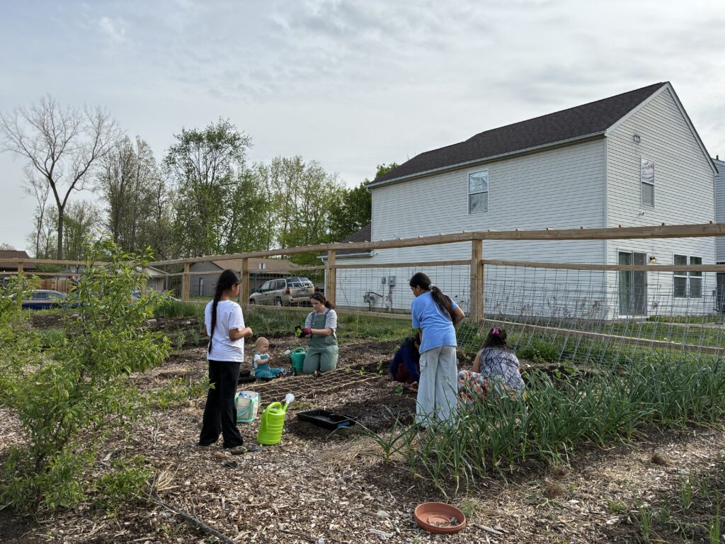 Outdoor garden